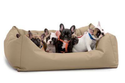 HUNTER Hundesofa Strong & Easy Clean