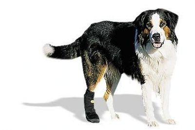 SKO Verbandsschutzschuh Hinterbeine