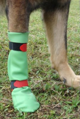 DOGGUSTI Hunde-Gummistiefel