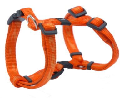 ROGZ Geschirr Alpinist