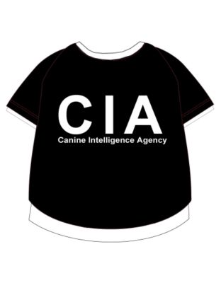 WOLTERS Bandana CIA