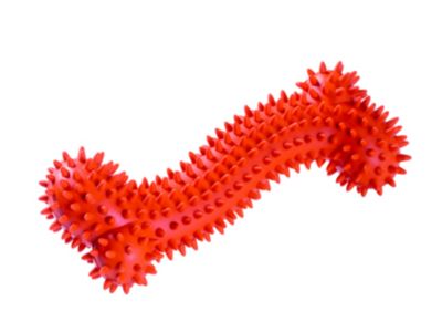 HUNTER SMART Hundespielzeug Spike Knochen