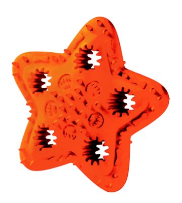 HUNTER SMART Snackspielzeug Universe Star