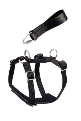 HUNTER Hunde Autosicherheitsgeschirr Bodyguard Classic