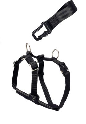 HUNTER Hunde Autosicherheitsgeschirr Bodyguard Comfort