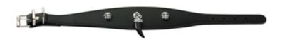 HUNTER Windhund Halsband Crystal Gothic