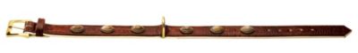 HUNTER Halsband Rollin Stone Reptile