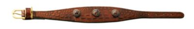 HUNTER Windhund Halsband Rollin Stone Reptile