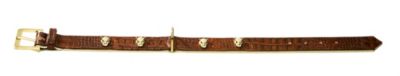 HUNTER Halsband Crystal Leo Reptile