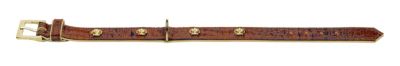 HUNTER Halsband Crystal Queen Reptile