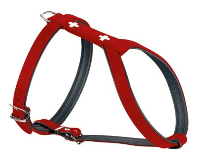 HUNTER Geschirr Swiss