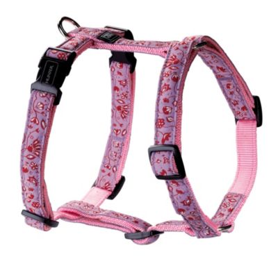 HUNTER Geschirr Krazy Tropical Garden Vario Rapid