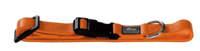 HUNTER Halsung Krazy Lizard Vario Basic