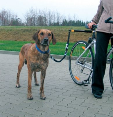 TRIXIE Hunde Biker Set
