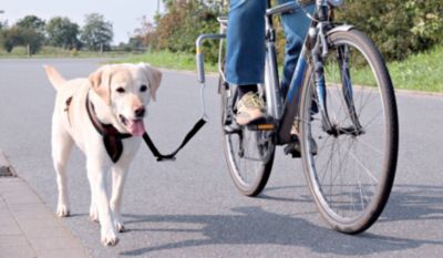 TRIXIE Hunde Biker Set Deluxe