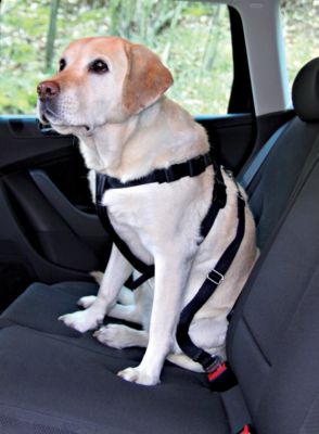 TRIXIE Auto-Sicherheitsgeschirr f&uuml;r Hunde