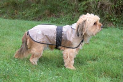 TRIXIE Regenmantel Tarbes