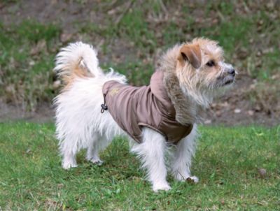 TRIXIE Hunde-Anorak Torino