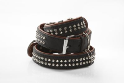 HURTTA Lederhalsband Classic Nietendekor