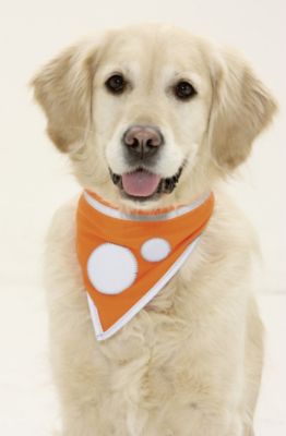 KARLIE Safety Dog Sicherheits-Halstuch