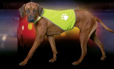KARLIE Safety Dog Sicherheitsweste