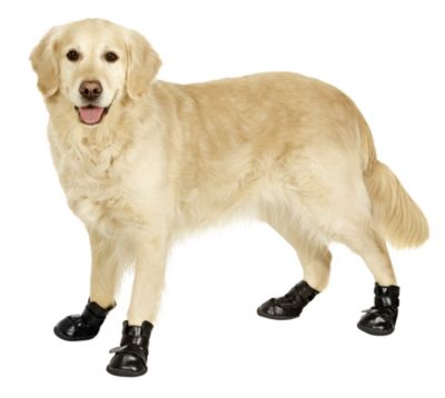KARLIE Xtreme Boots