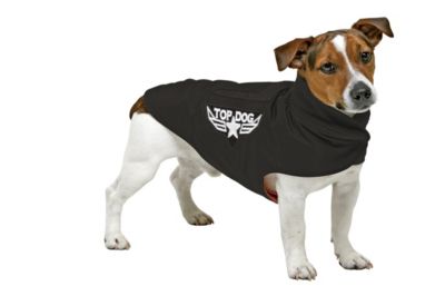 KARLIE Mantel Top Dog
