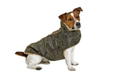 KARLIE Mantel Dog Star