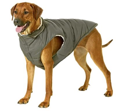 KARLIE Hunde Wendeweste Jacky