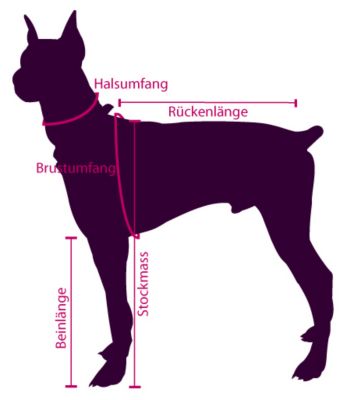 Dieser Abbildung k&ouml;nnen Sie entnehmen wie Ihr Hund richtig gemessen wird.