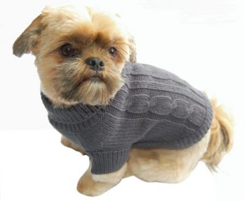DOGS KINGDOM Rollkragenpullover f&uuml;r Mops