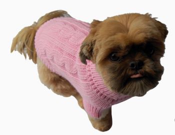DOGS KINGDOM Rollkragenpullover